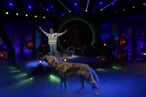 Wolf Watch